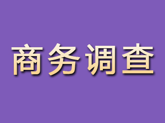 台江商务调查